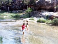 1981071176 Grand Canyon Vacation