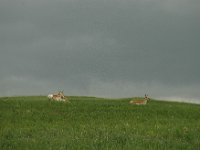 2007061193 Badlands - South Dakota