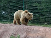 2007061350 Bear Country - Rapid City - South Dakota