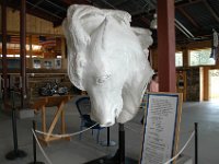 2007061295 Crazy Horse Monument - South Dakota