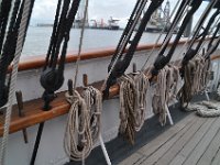 2016060343 Elissa 3 Masted Barque, Galveston, Texas - June 5