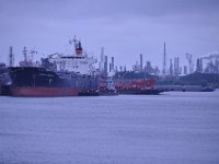 2016061188 San Jacinto Battlefield and Battleship Texas, Houston (Jun 12)