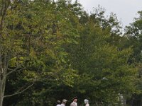 2011092079 Darrel & Betty Hagberg - Al & Diane Brandhorst - OHara Airport - Chicago IL - Sep 21