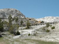 2007061478 Yellowstone National Park - Wyoming