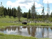 2007061499 Yellowstone National Park - Wyoming