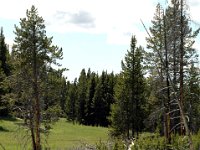 2007061502 Yellowstone National Park - Wyoming