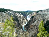 2007061517 Yellowstone National Park - Wyoming