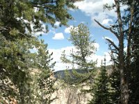 2007061525 Yellowstone National Park - Wyoming