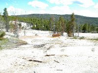 2007061534 Yellowstone National Park - Wyoming