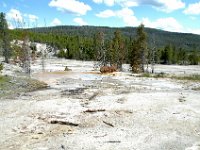 2007061535 Yellowstone National Park - Wyoming