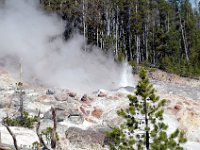 2007061550 Yellowstone National Park - Wyoming