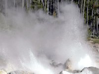 2007061553 Yellowstone National Park - Wyoming