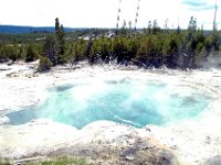 2007061555 Yellowstone National Park - Wyoming