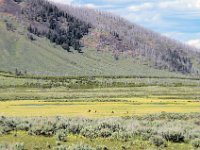 2007061565 Yellowstone National Park - Wyoming