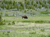 2007061603 Yellowstone National Park - Wyoming