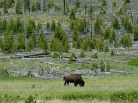 2007061604 Yellowstone National Park - Wyoming