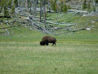 2007061607 Yellowstone National Park - Wyoming
