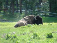 2007061610 Yellowstone National Park - Wyoming