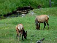 2007061623 Yellowstone National Park - Wyoming