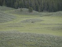 2007061673 Yellowstone National Park - Wyoming