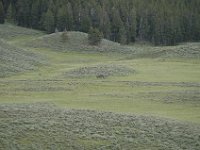 2007061674 Yellowstone National Park - Wyoming