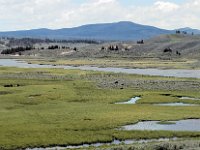 2007061675 Yellowstone National Park - Wyoming