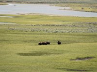 2007061676 Yellowstone National Park - Wyoming