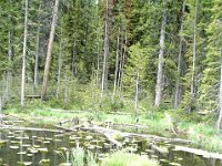 2007061710 Yellowstone National Park - Wyoming