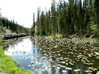 2007061714 Yellowstone National Park - Wyoming