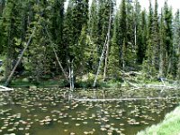 2007061715 Yellowstone National Park - Wyoming