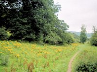 1997071755 Stoney Middleton - England - July 31